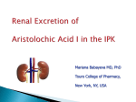 The renal excretion parameters