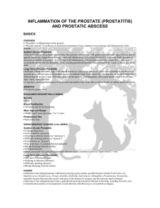 inflammation of the prostate (prostatitis) and prostatic abscess