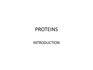 2. Intro to Proteins