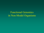 Functional Genomics