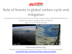 Role of forests in global carbon cycle and mitigation