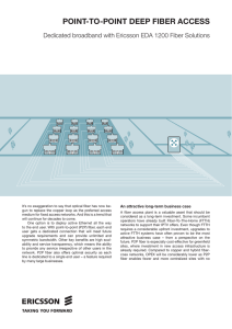 point-to-point deep fiber access - NET-im-web