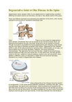 Degenerative Joint or Disc Disease in the Spine