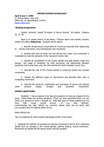 MOTOR SYSTEM PHYSIOLOGY
