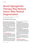 Novel optogenetic Therapy May Restore Vision After Retinal