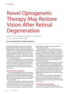 Novel optogenetic Therapy May Restore Vision After Retinal