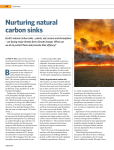 Nurturing natural carbon sinks