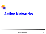 Active Networks