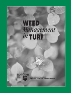 Weed Management in Turf