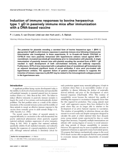 Induction of immune responses to bovine herpesvirus type 1 gD in