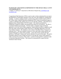 Fluid Flow and Particle Deposition in the Human Oral Cavity