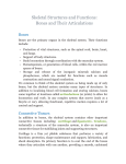 Skeletal Structures and Functions: Bones and Their Articulations