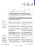 Immune cell promotion of metastasis