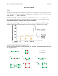 Quiz 6 study guide