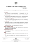 9 Functions of the Middle Prefrontal Cortex