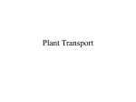 Plant Transport