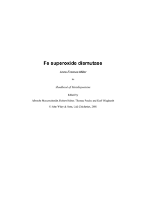 Fe superoxide dismutase - Chemistry