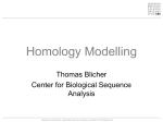 HomologyModelling_TB..