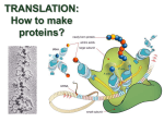 TRANSLATION: How to make proteins?