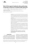 Role of the superior turbinate when performing endoscopic