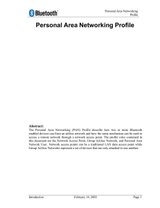 Personal Area Networking Bluetooth Profile