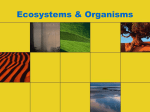 Ecosystems and organisms