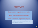 ENZYMES