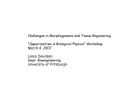 Challenges in Morphogenesis and Tissue Engineering