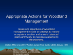 Appropriate Actions for Woodland Management