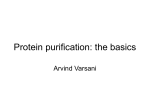 Protein purification: the basics