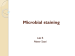 General Microbiology