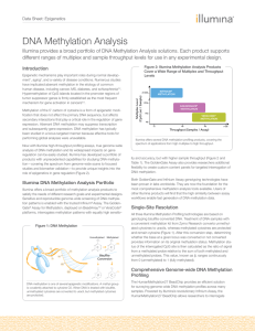 DNA Methylation Analysis