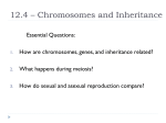 12.4 * Chromosomes and Inheritance