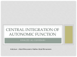 autonomic nervous system