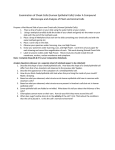 Examination of Cheek Cells (Human Epithelial Cells) Under A