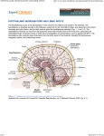 hypothalamic neuroanatomy and limbic inputs