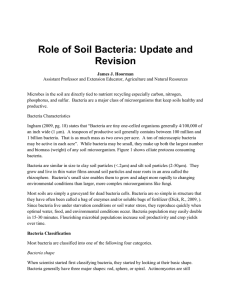 Role of Soil Bacteria: Update and Revision