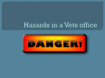 Hazards in a Vets office