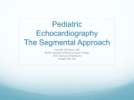 Pediatric Echocardiography The Segmental Approach
