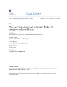 Mangrove expansion and salt marsh decline at