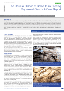 An Unusual Branch of Celiac Trunk Feeding Suprarenal Gland