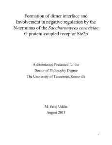 2. Fredriksson, R., et al., The G-protein