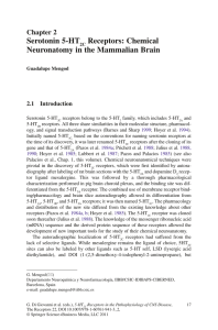 Serotonin 5-HT Receptors: Chemical Neuronatomy in the