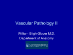 Vascular Pathology II