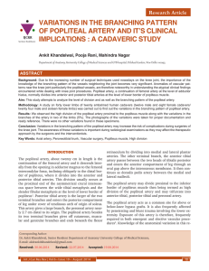 variations in the branching pattern of popliteal artery and it`s clinical