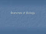 Branches of Biology