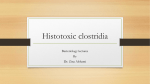 histotoxic clostredia