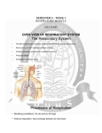 OVER VIEW OF RESPIRATORY SYSTEM