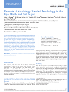 Elements of morphology: Standard terminology for the lips, mouth