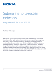 Submarine to terrestrial networks